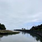 MICHIKO’S DIARY 日々のこと2025.4.21~4.27