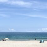 MICHIKO’S DIARY 日々のこと2025.6.16~6.22