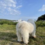 MICHIKO’S DIARY 日々のこと2025.7.14~7.20