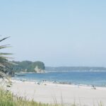 MICHIKO’S DIARY 日々のこと2025.8.18~8.24