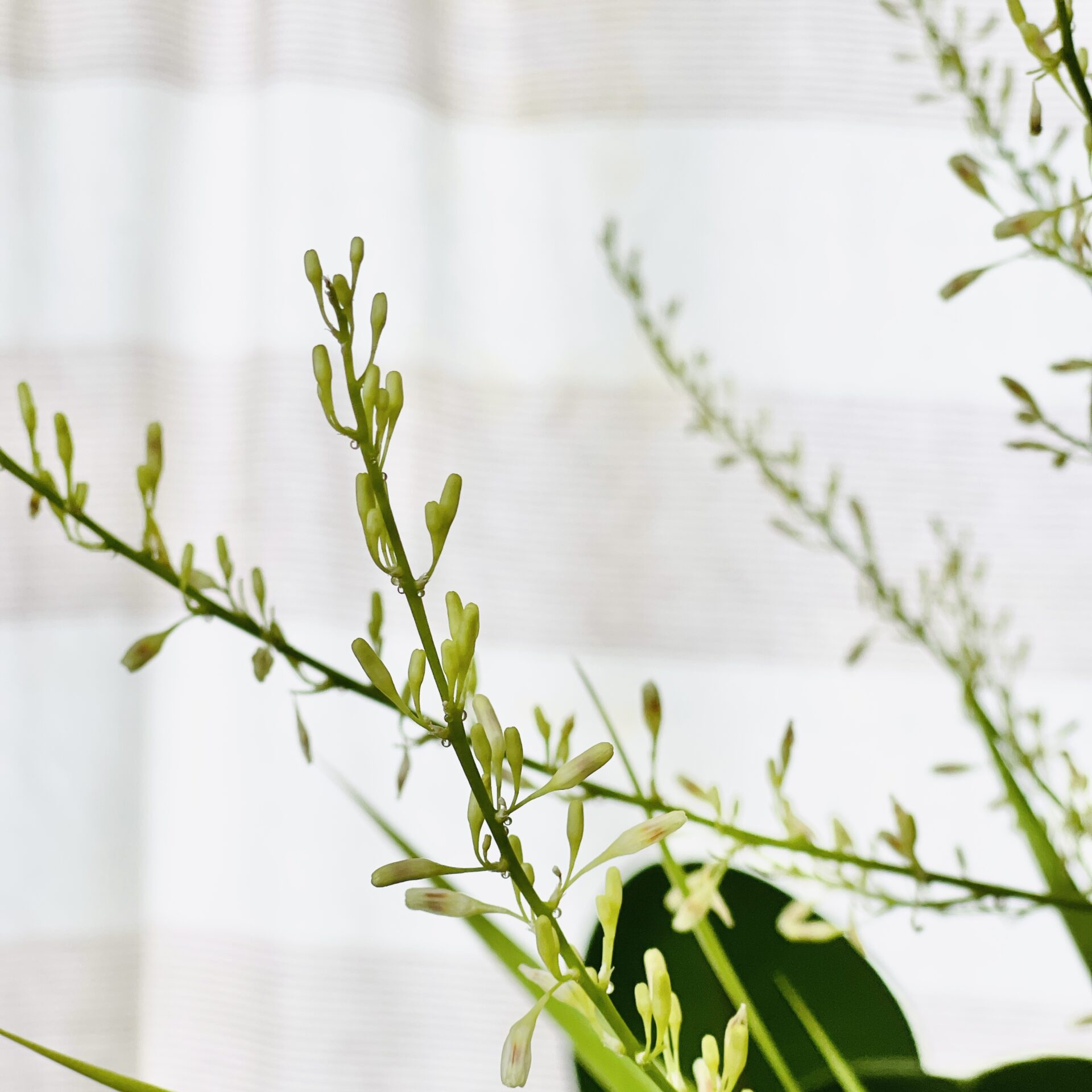 Photo taken with Focos