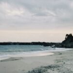MICHIKO’S DIARY 日々のこと2025.10.6~10.12