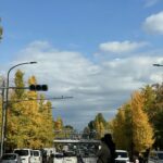 MICHIKO’S DIARY 日々のこと2025.11.17~11.23