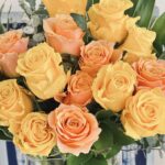 MICHIKO’S DIARY 日々のこと2026.1.5~1.11