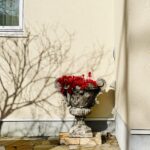 MICHIKO’S DIARY 日々のこと2026.1.26~2.1