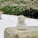 MICHIKO’S DIARY 日々のこと2026.2.2~2.8