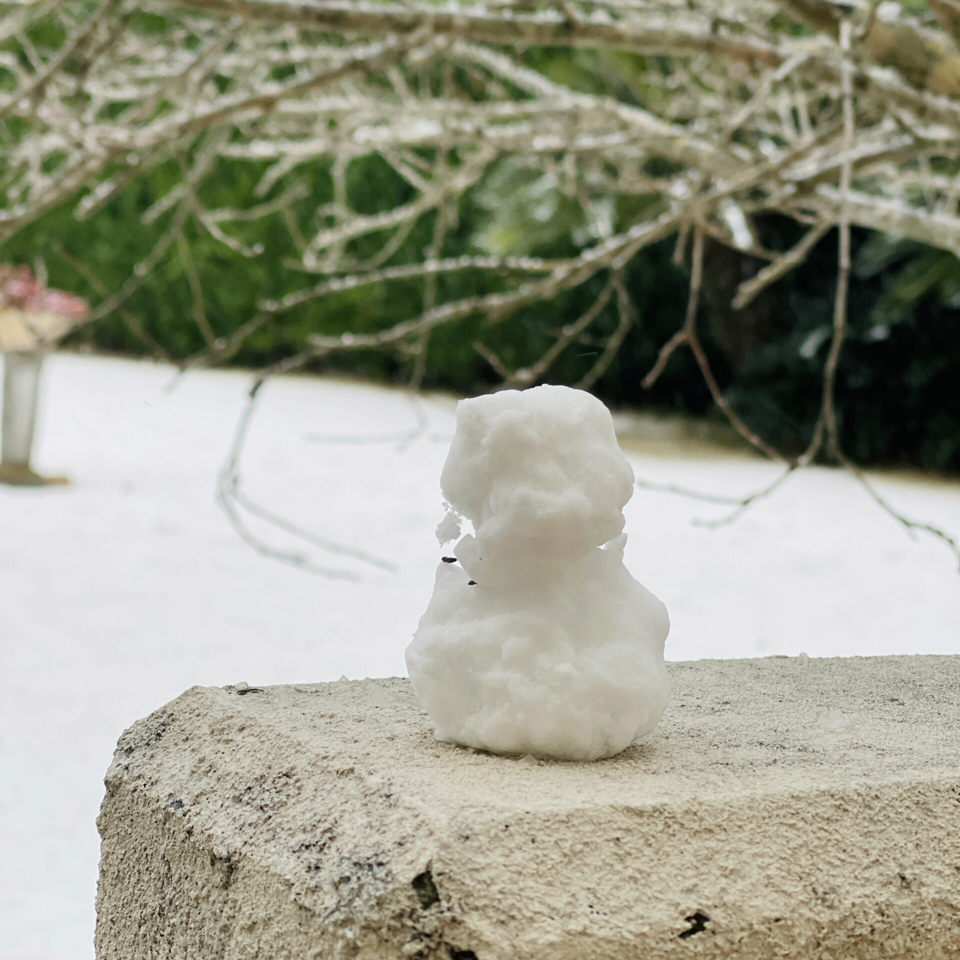 Photo taken with Focos