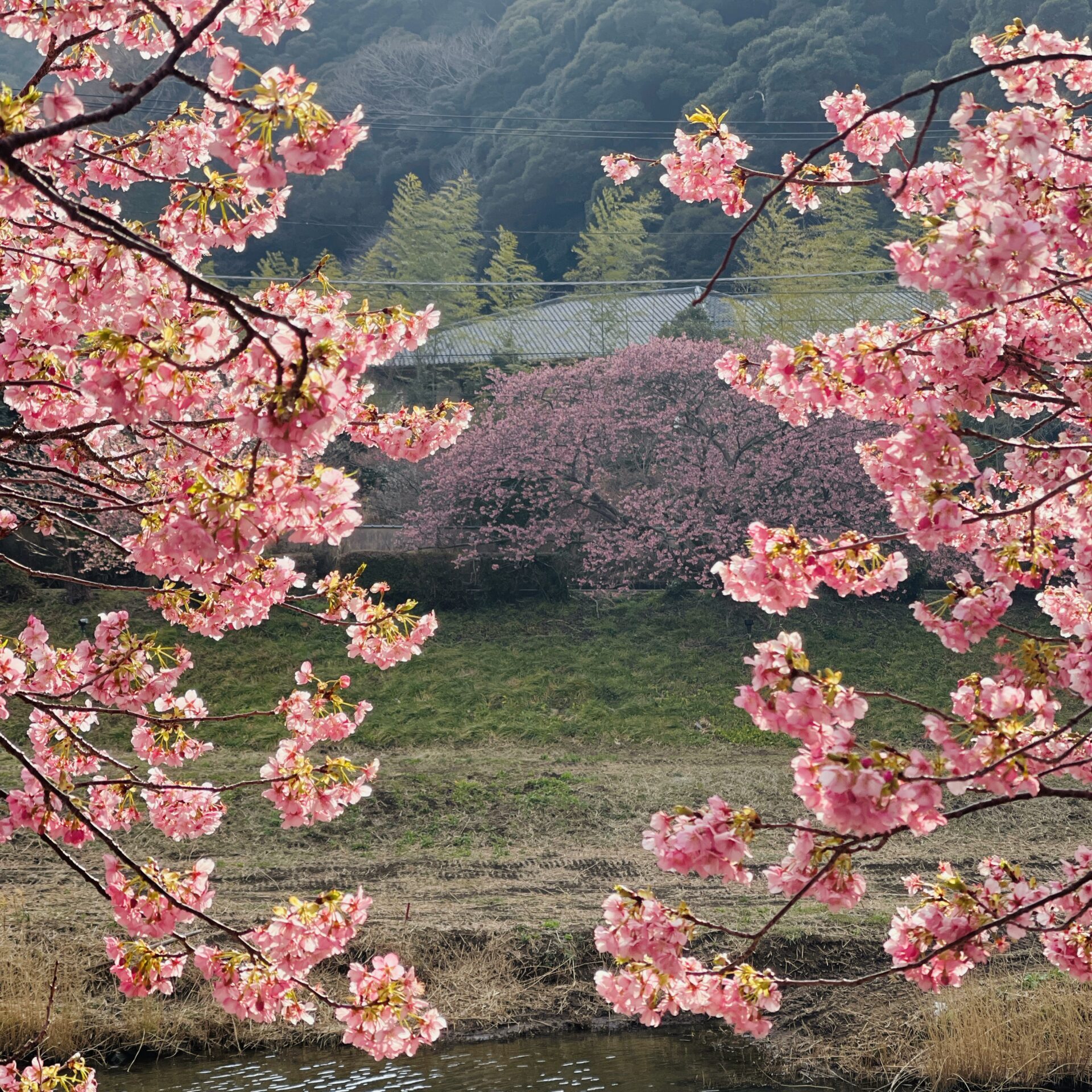 Photo taken with Focos