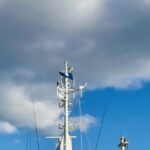 MICHIKO’S DIARY 日々のこと2026.3.2~3.8