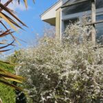 MICHIKO’S DIARY 日々のこと2026.3.9~3.15