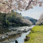 MICHIKO’S DIARY 日々のこと2026.3.23~3.29