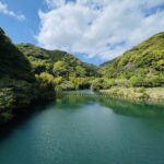 MICHIKO’S DIARY 日々のこと2026.4.13~4.19