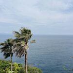 MICHIKO’S DIARY 日々のこと2026.5.4~5.10