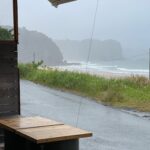 MICHIKO’S DIARY 日々のこと2026.5.18~5.24