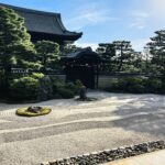 MICHIKO’S DIARY 日々のこと2026.10.12~10.18
